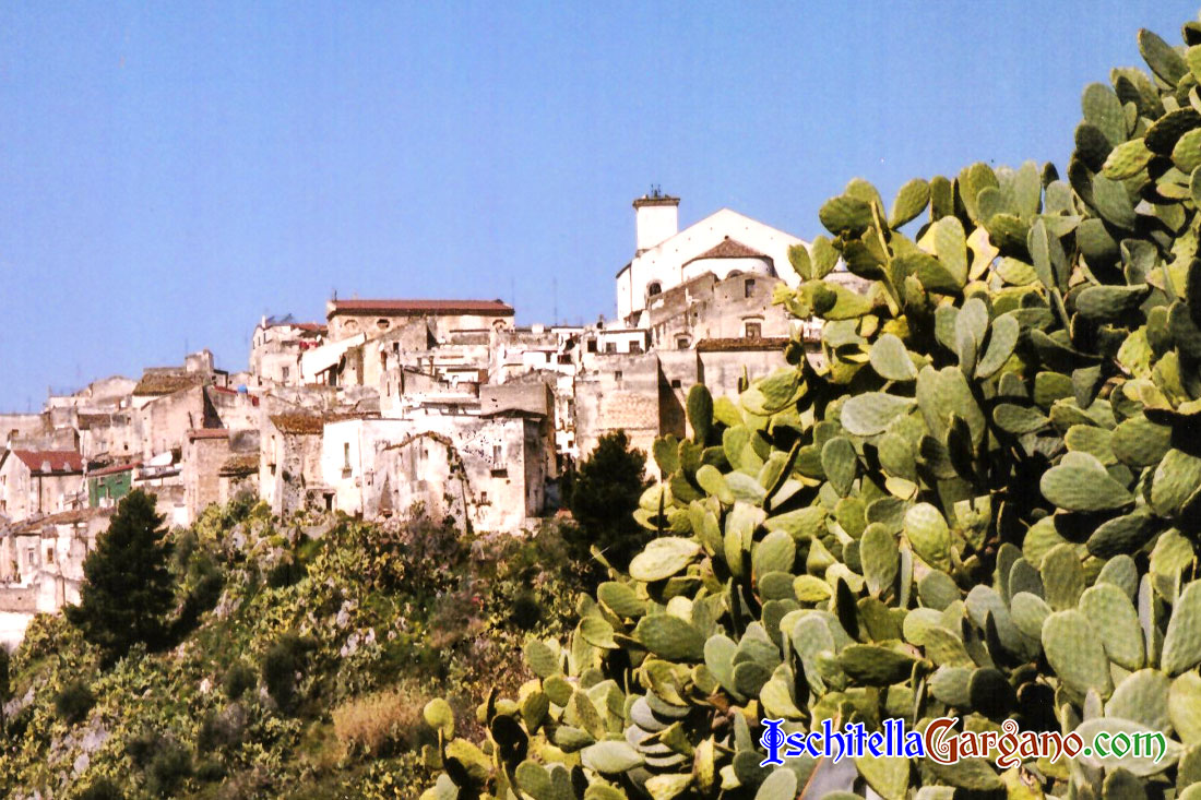 sagra-del-pesce-cagnano-varano Sagra del Pesce - Cagnano Varano