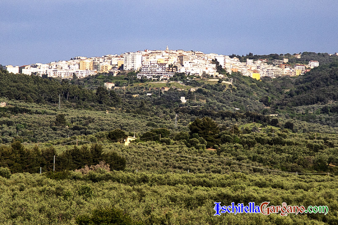 Ischitella