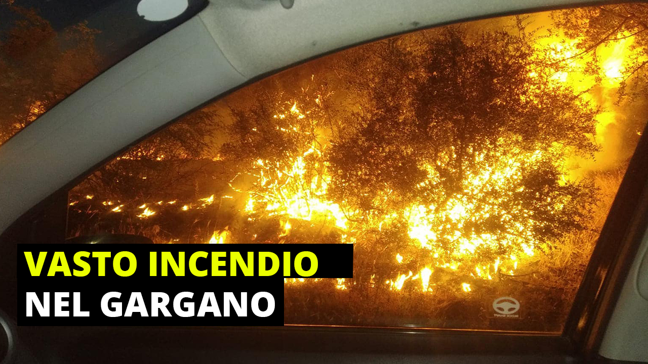 INCEDIO VASTO GARGANO