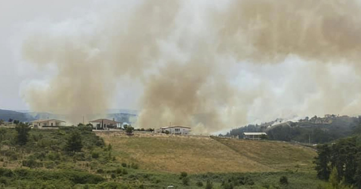 fiamme-vico-del-gargano Incendio Vico del Gargano