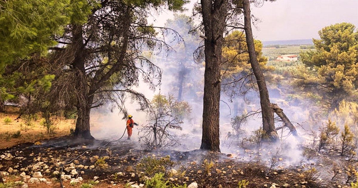 Incendio Vieste