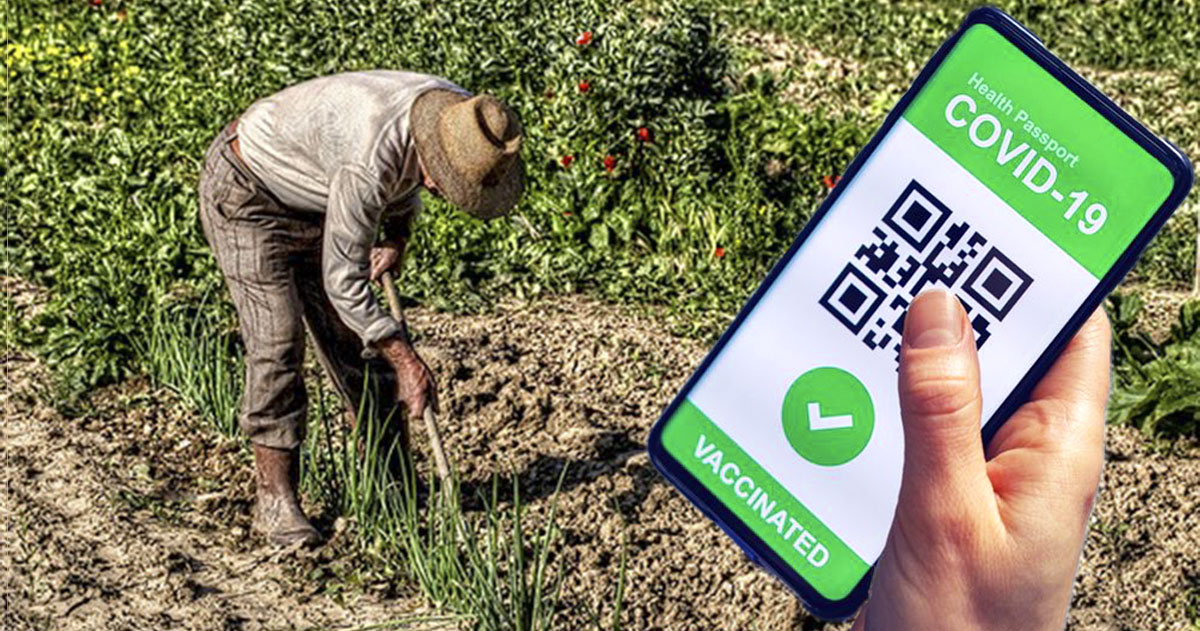 campi-vaccino Green pass agricoltura
