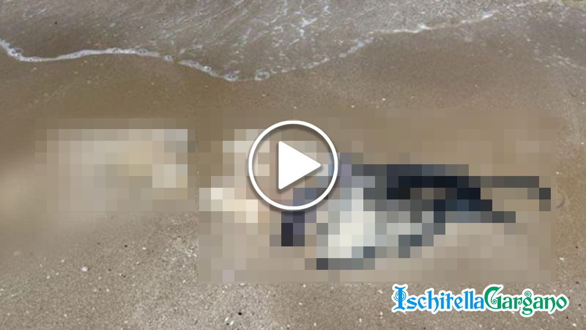cadavere-spiaggia