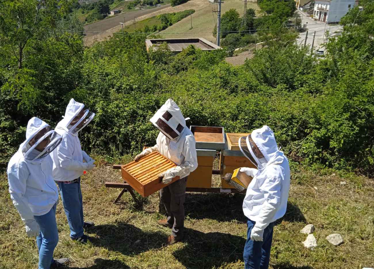 Miele a Casa per la Vita Brecciolosa