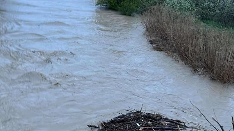 Fiume in piena