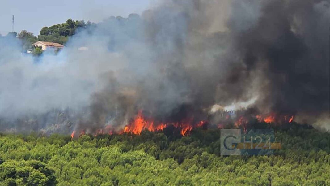 INCENDIO-ZAINA-PESCHICI-26072026