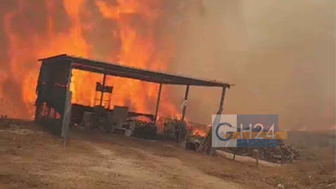 incendio-peschici-26072026222