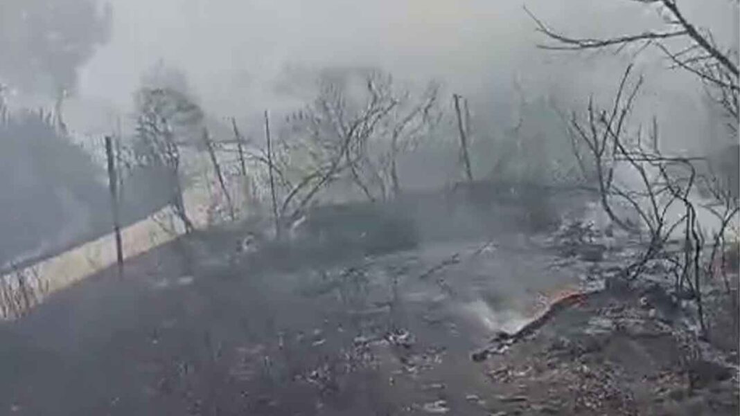 incendio domato peschici 26072026