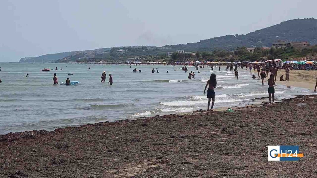 erba marina posidonia foce varano schiavone 29072026