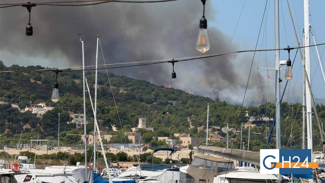 incendio-vieste-lungomare-europa-1