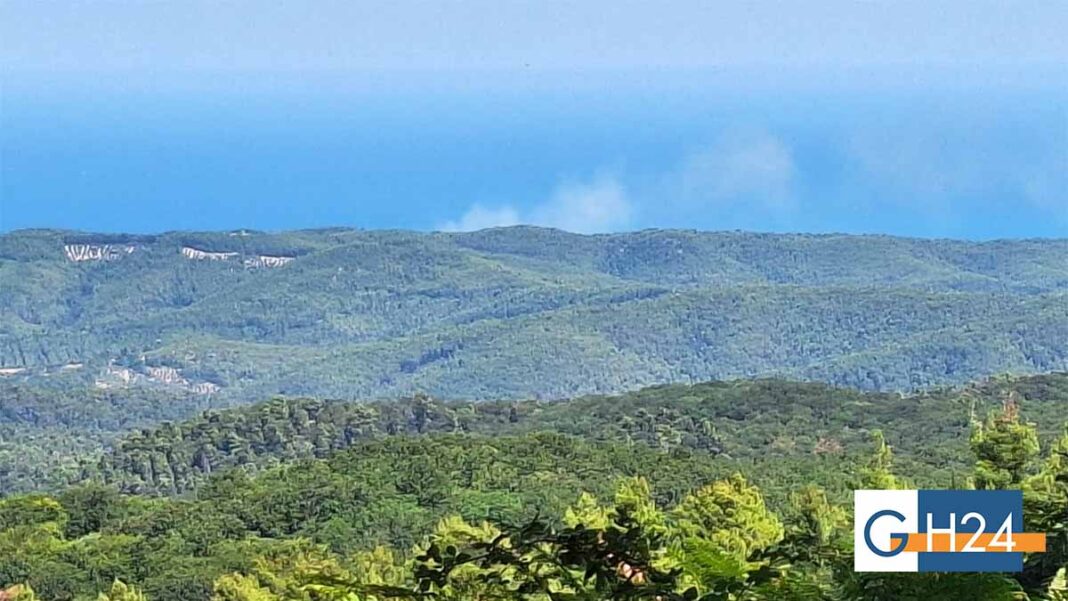 incendio-peschici