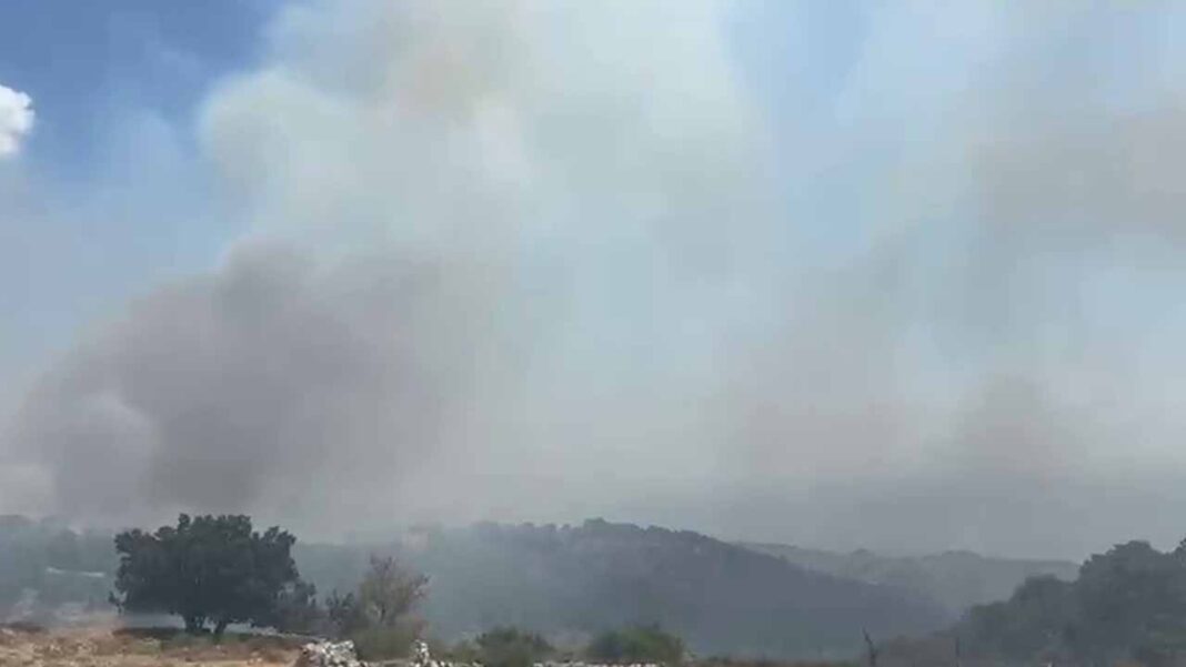 incendio pulsano monte sant'angelo 11082026