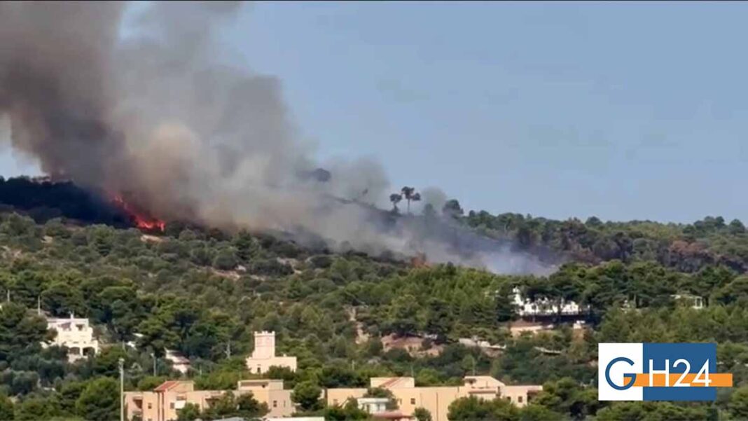incendio-vieste