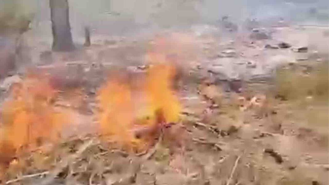 incendio mannarelle 27082026