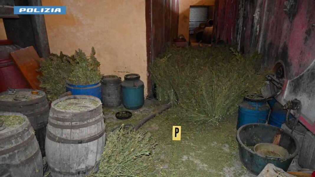 capannone droga foggia 2 28082026