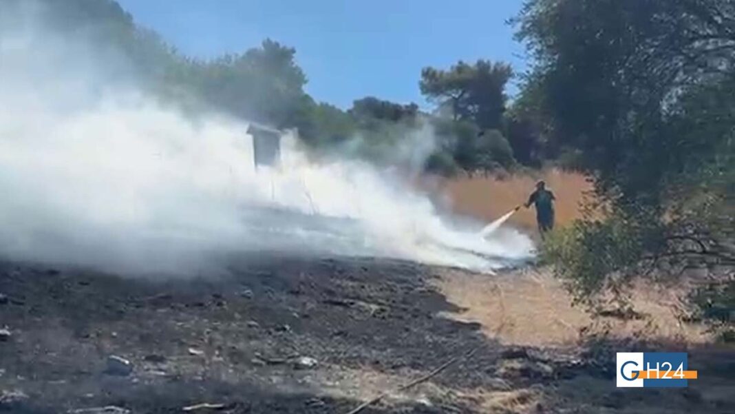 incendio monte pucci necropoli vico del gargano 03092026