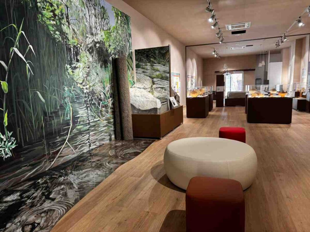 il museo 03